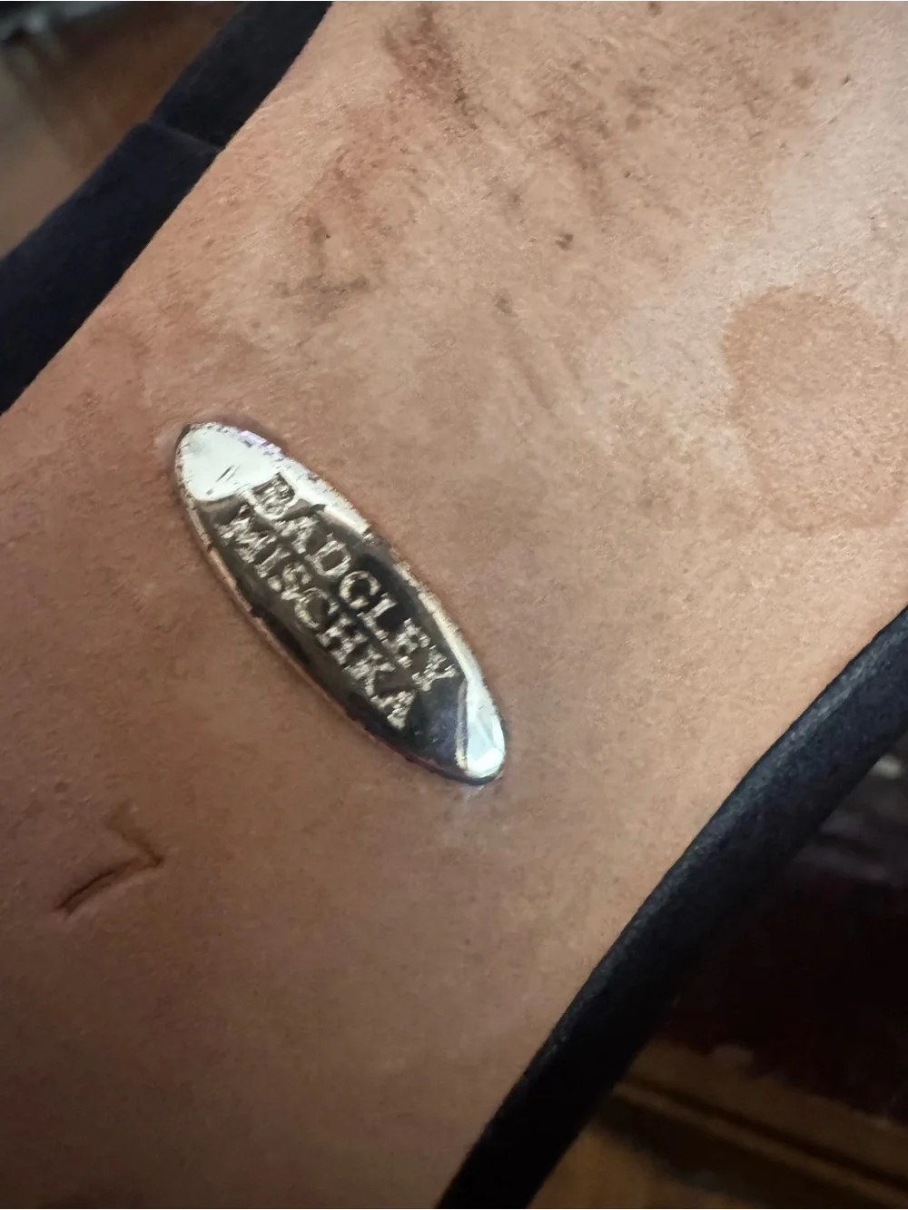 Badgley Mischka chic pointed
